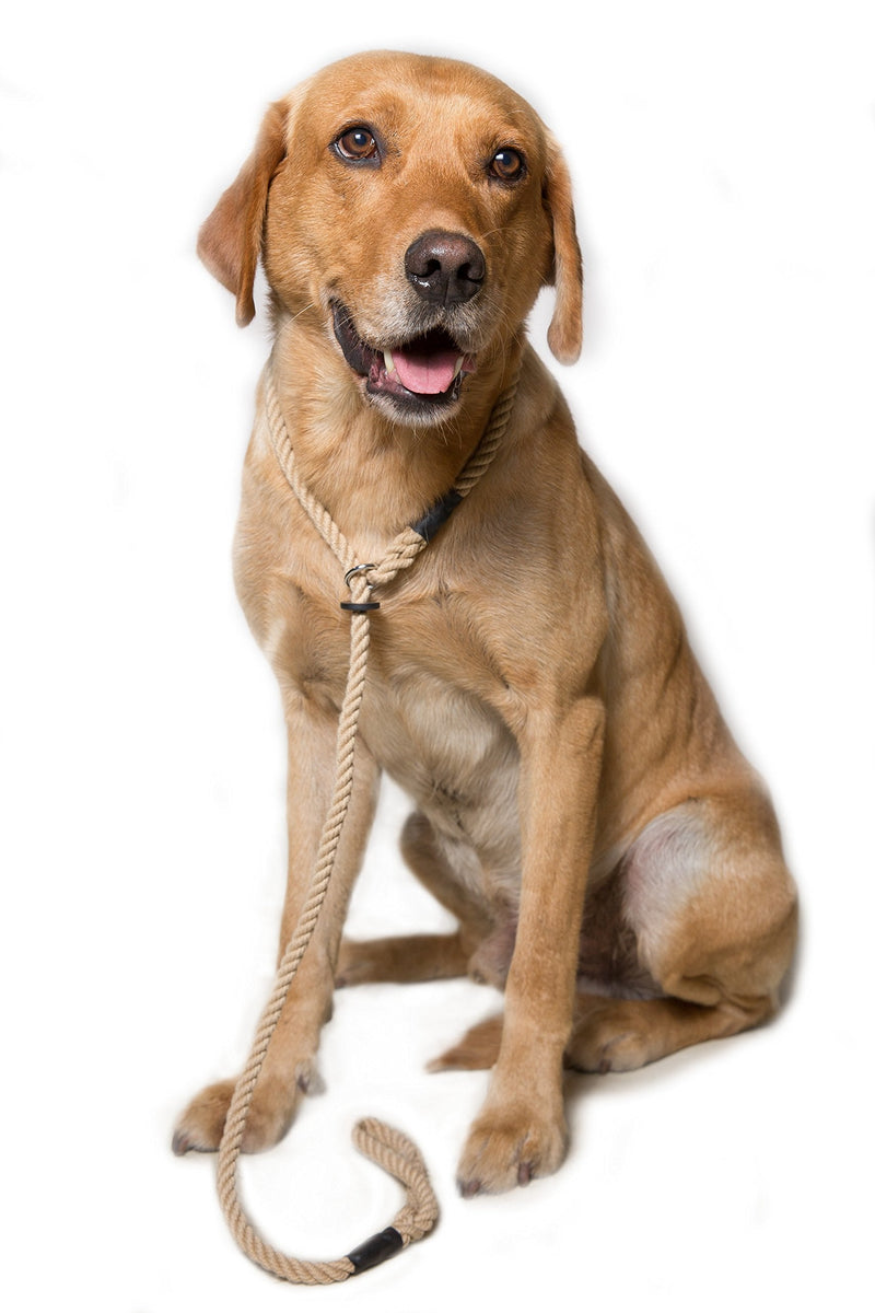 Dog & Field Deluxe Gundog Slip Leash - Natural Brown. Soft Spliced Marine Rope Slip Leash for Dogs with Rubber Stopper, Easy to Slip On, No Collar Or Harness Needed. Training Lead for Dogs, One Size - PawsPlanet Australia