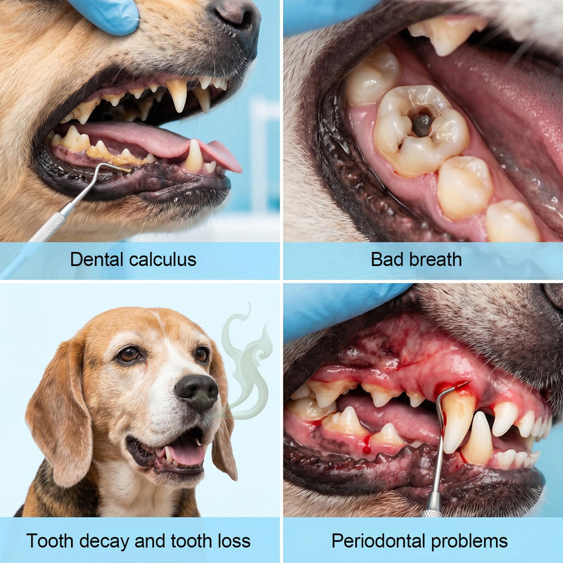 2Pcs Small Dog Cat Toothbrush, 360 Degree Pet Toothbrush Soft Silicone Deep Clean Pet Teeth Tooth Brush Cleaning Kit Independent Packaging