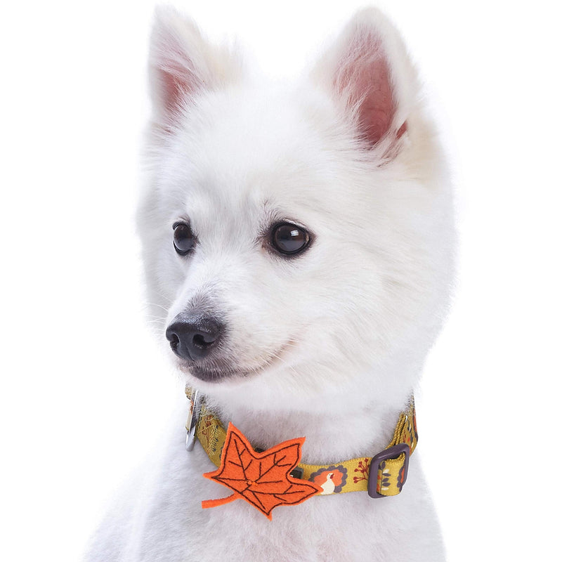 Blueberry Pet 8 Patterns Thanksgiving Fall Festival Moonlit Turkey Designer Adjustable Dog Collar with Maple, Medium, Neck 14.5"-20" - PawsPlanet Australia