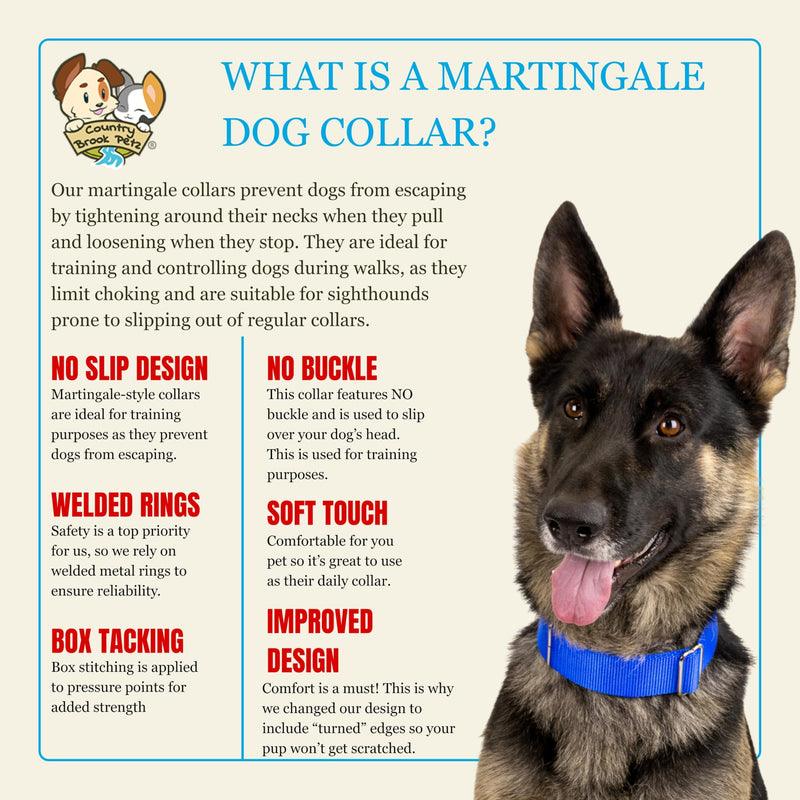 Country Brook Petz - HossFit Jr Wide Martingale Dog Collar - Training Collar with No Buckle - Service Dog Collar for All Pups - Vibrant, Colorful Collection (Royal Blue, Large) Royal Blue Large (Pack of 1) - PawsPlanet Australia