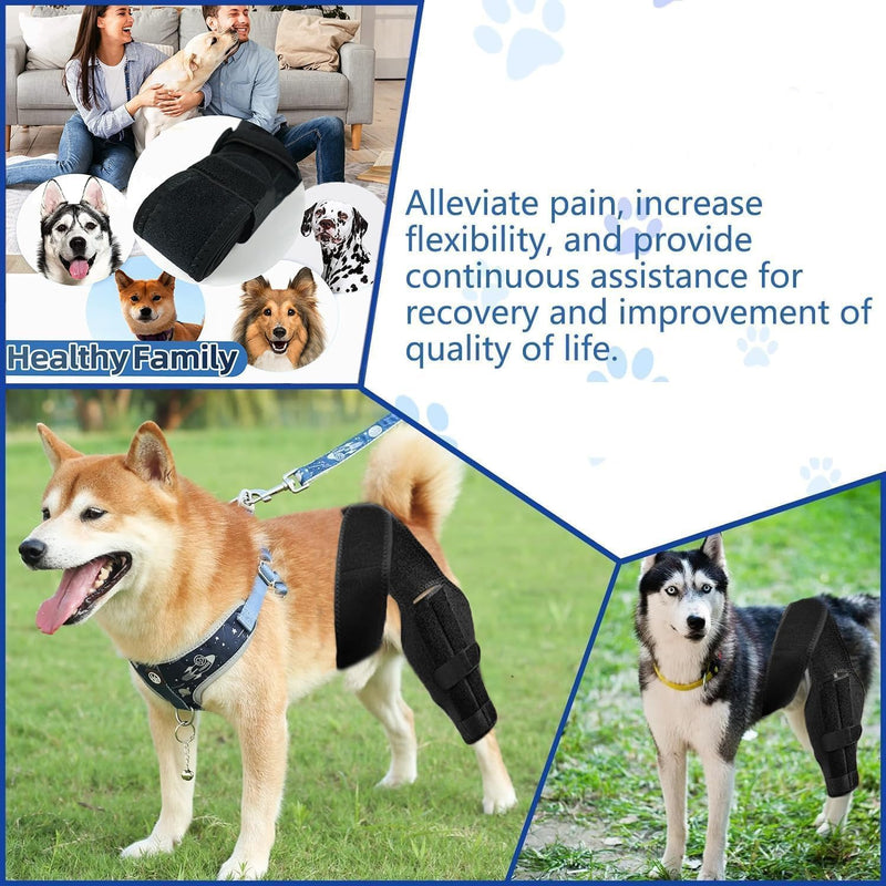 Dog Knee Brace, Dog ACLBrace Hind Leg, Dog Leg Braces for Back Leg, ACL Brace for Dogs, Dog Hip Brace, Dog Knee Brace for Torn ACL Hind Leg. Labrador, Golden Retriever (Large) Large - PawsPlanet Australia