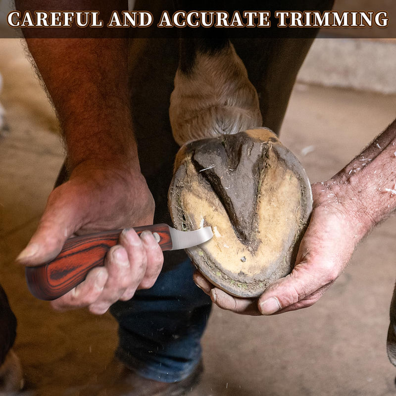 Hoof Knife with Sharpener,Farrier Tool Kit,Double Edged Hoof Trimming Knife with Wooden Handle, High-Carbon Steel Blade Hoof Knife for Horses - PawsPlanet Australia