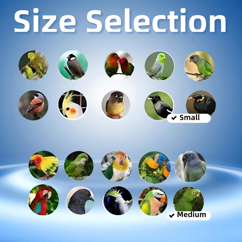 Hands-Free Bird Harnesses Suitable for Cycling and Driving Outdoors and Belts self-retracting Fanny Pack Bird Leash suirtable for Parrots Conures Cockatiels small group - PawsPlanet Australia