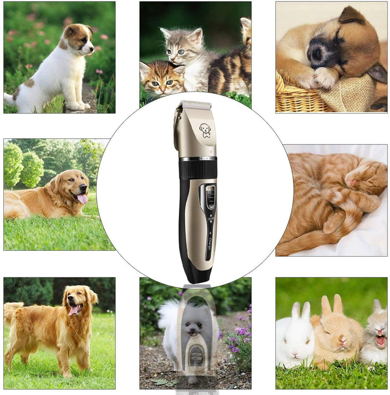 Dog Grooming Kit Pet Shaver Clippers Low Noise Rechargeable Cordless Electric Quiet Hair Clippers Set for Dogs Cats Pet - PawsPlanet Australia