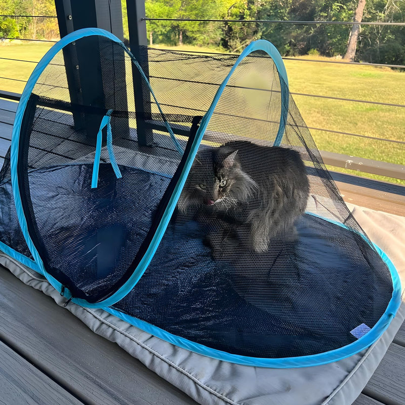 Cat Tent Outdoor, Pet Enclosure Tent Suitable for Cats and Small Animals, Indoor Playpen Portable Exercise Tent with Carry Bag?Black? Black