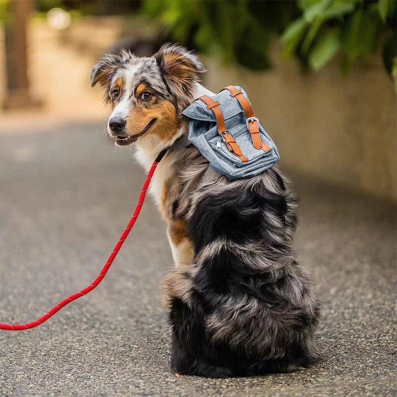 Cute Dog Backpack for Dogs to Wear Puppy Backpacks Adjustable Pet Self Carrier Bag with Harness Buckle for Hiking Daily Walking, Blue - PawsPlanet Australia