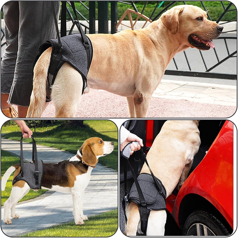 Dog Lifting Harness, Leg Support for Back Slings for Injured Disabled Elderly Dogs Walking Aid, Leg Brace Adjustable Lift Harness, Hind Leg Dog Support Strap for Small Medium Large Dogs(S) S