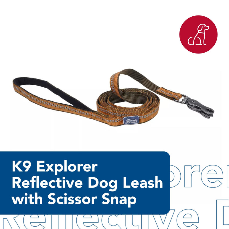 Coastal Pet K9 Explorer Reflective Dog Leash with Scissor Snap - Durable Nylon Leash - Leashes for Dogs & Puppies - Pet Supplies for Dogs - Fern, 1" x 6' 1" x 6' (Pack of 1) - PawsPlanet Australia