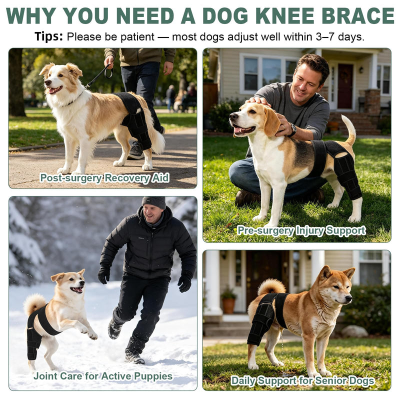 Dog Knee Braces for Back Leg, Adjustable Dog Acl Brace Hind Leg with Stabilizers, Canine Joint Support for Torn ACL, Luxating Patella, Arthritis and Post-Surgery Recovery, Universal (S) S