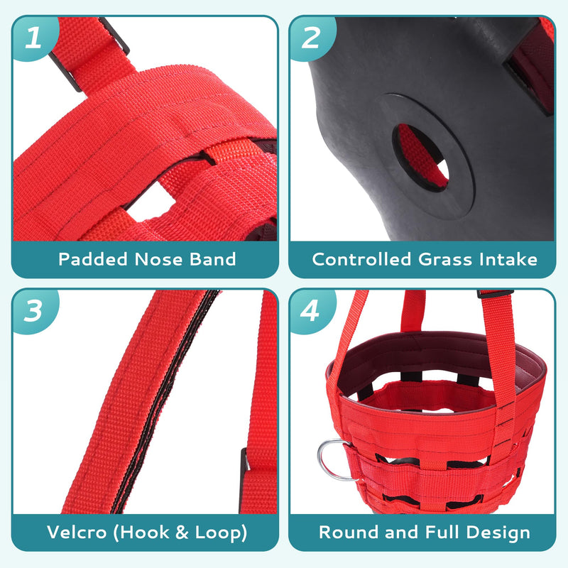 Horse Grazing Muzzle with Safety Strap Adjustable Breathable Design for Pasture, Laminitis Prevention & Weight Management, Red - PawsPlanet Australia