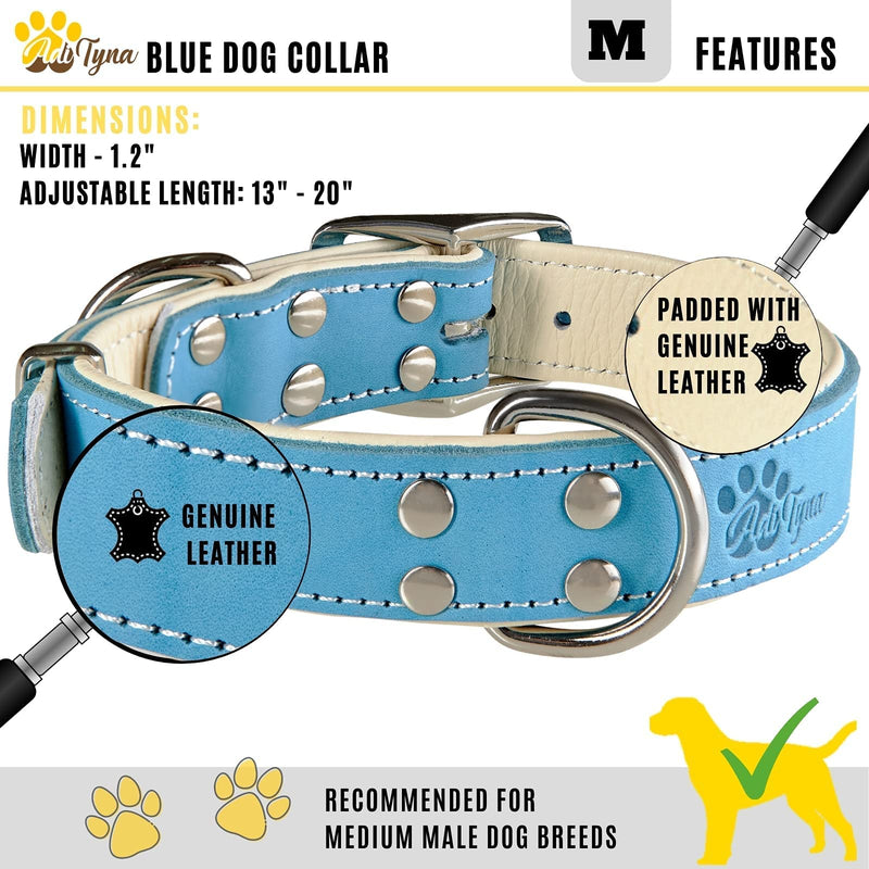 ADITYNA Heavy-Duty Leather Dog Collar for Medium Dogs - Soft Padded for Comfort - Blue Dog Collar for Walking, Training, and Hiking Medium: Fit 13-20" Neck