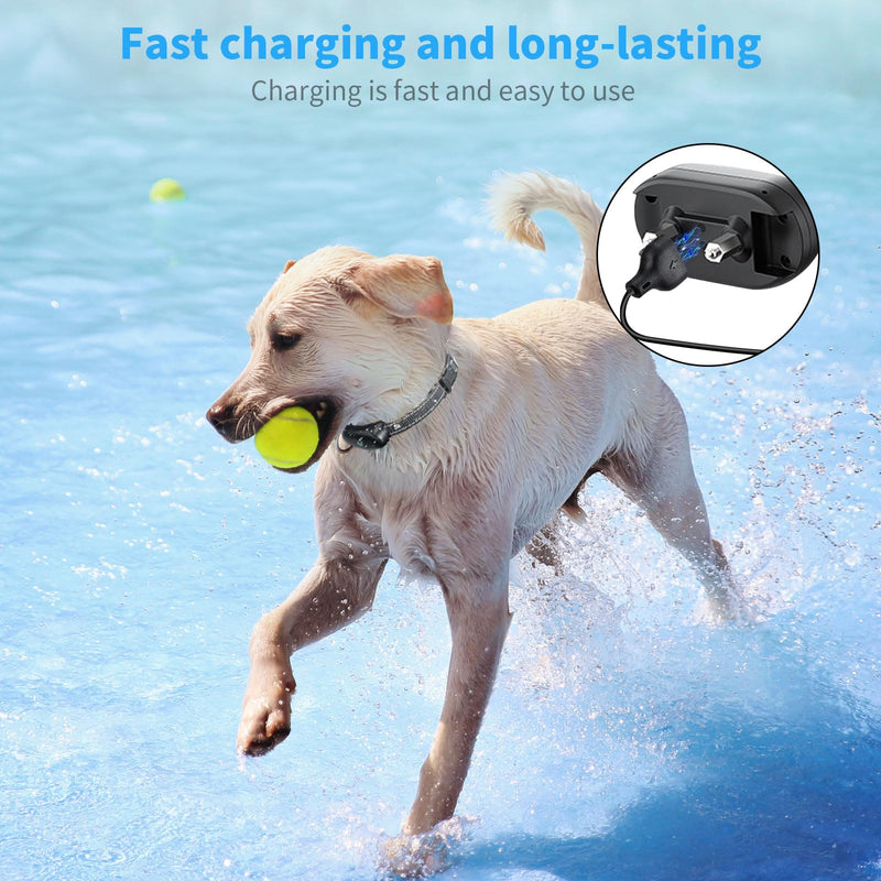for Delupet Dog Training Collar Charger Replacement, MEROM Power Cable Compatible with Yawpet Dog Shock Collar, 2-in-1 Magnetic Charging and Micro USB Cable (Black) Black - PawsPlanet Australia