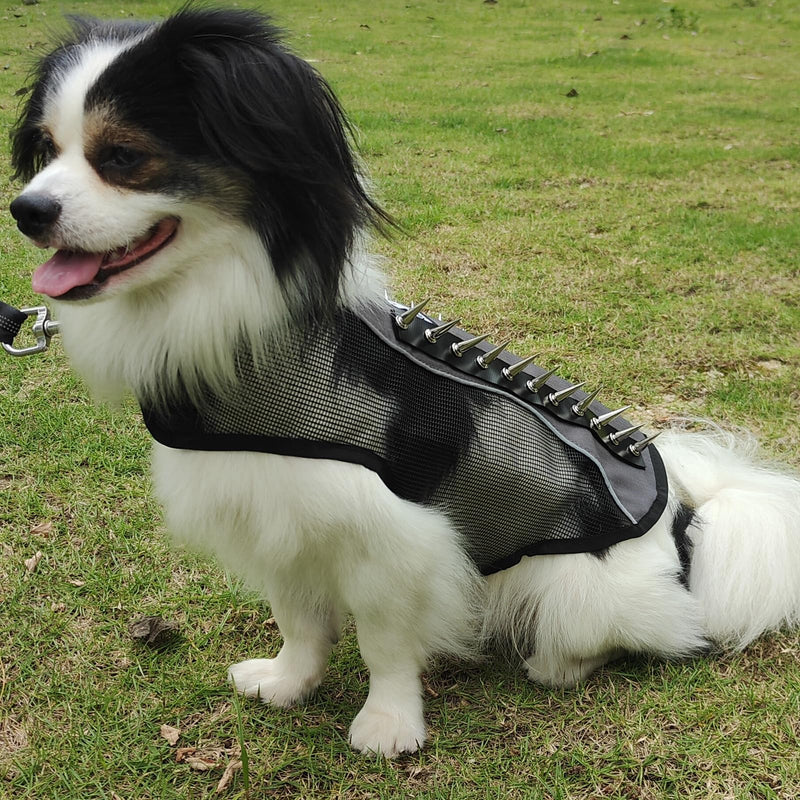 Spike Mesh Dog Harness Summer Reflective Jacket Waterproof Coat Cool Vest for Small Medium Large Dogs Gray Small - PawsPlanet Australia