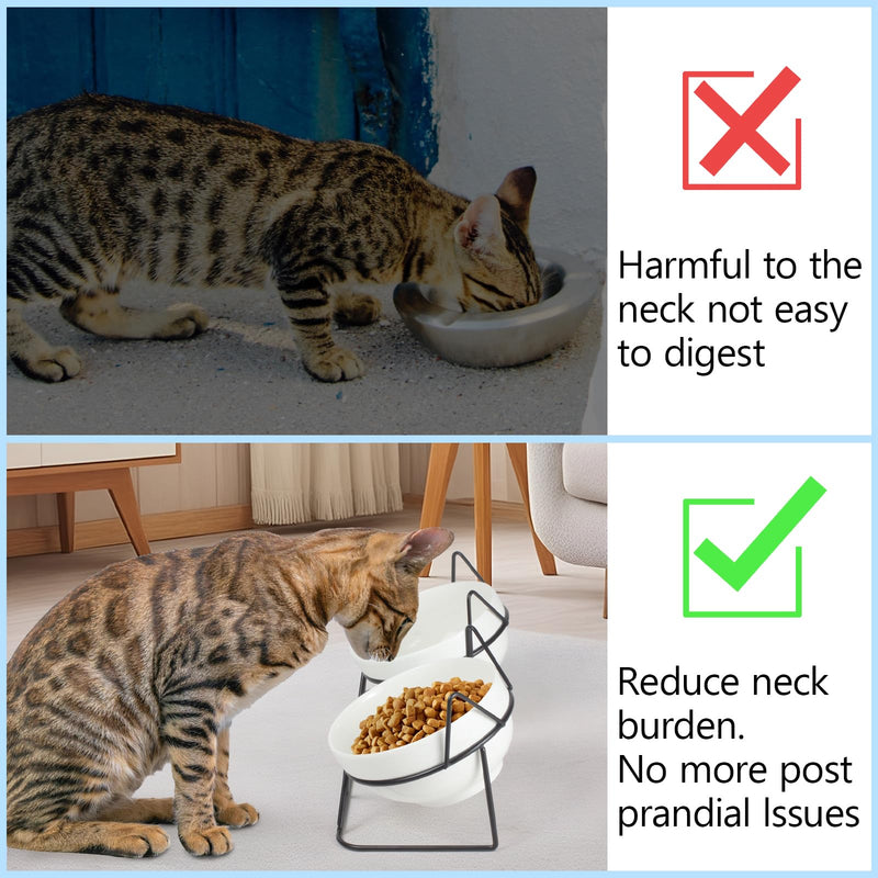 Elevated Tilted Cat Bowls for Indoor Cats，Raised Ceramic Cat Bowl Elevated 15°,Pet Feeding Bowls for Food and Water Anti Vomiting Bowl(Double Ceramics Bowls and Tilt Shelf) Suitable for All Cat Sizes - PawsPlanet Australia