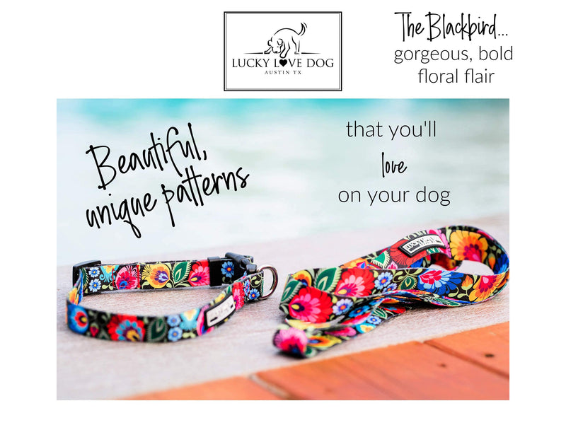 Lucky Love Dog Leash Collar Combo Set, Vivid Floral Girl or Boy Dog Leash Small to Medium Dogs, Blackbird, Small - PawsPlanet Australia
