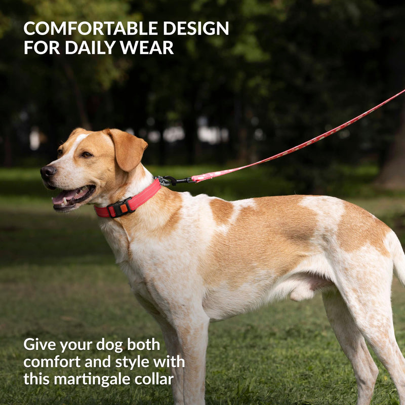 CollarDirect Martingale Dog Collar with Stainless Steel Chain and Quick Release Buckle - Reflective Collar for Large, Medium, Small Dogs - Red, Large (Neck Size 17"-22") Large (Neck Size 17"-22") Nylon with Chain - PawsPlanet Australia