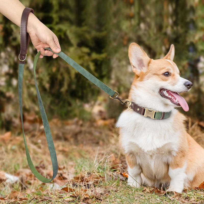 Didog PU Leather Dog Leash for Small Dogs 4.5ft, Soft Padded Handle Dog Leashes for Medium Size, Walking and Training Leashes Faux Leather for Large Pet,Green Green - PawsPlanet Australia