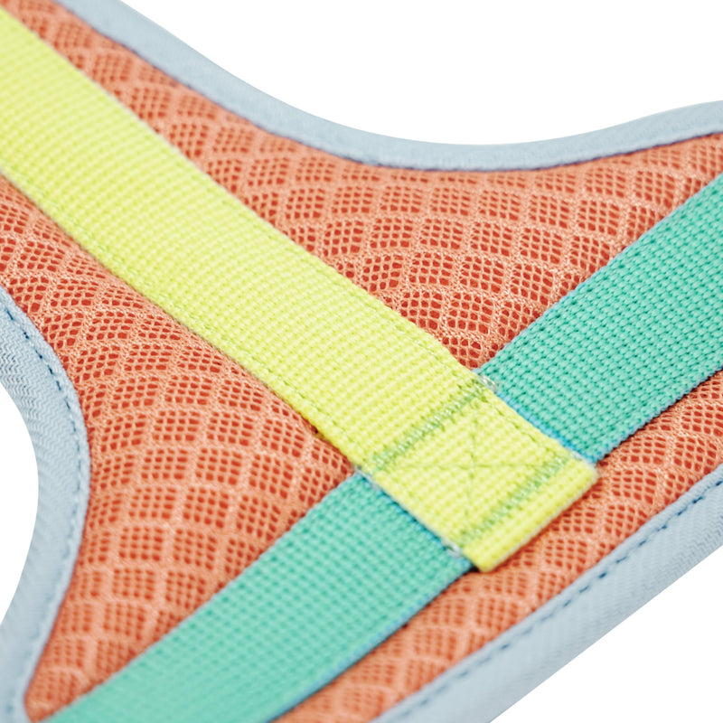 Blueberry Pet Vibrant Mesh Padded Ultra Cool Lightweight Dog Harness Vest in Coral, Small, Neck 15¾", Chest 14¾"~21" - PawsPlanet Australia