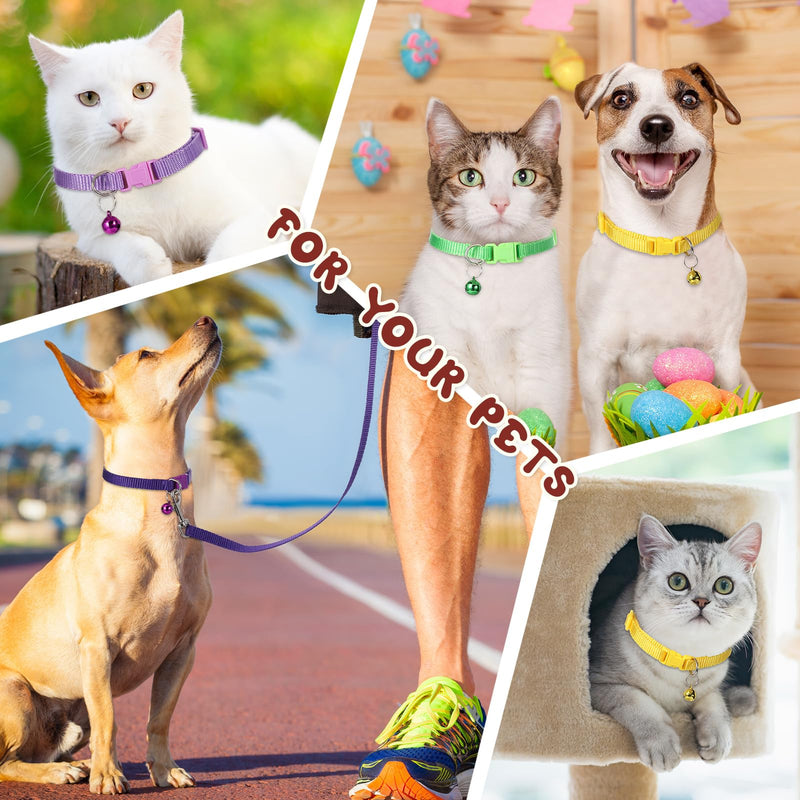 Amylove 48 Pcs Dog Collar and Leash Set, Polypropylene Adjustable Puppy Collars for Medium Dogs Small Pet Puppy Walking Training with Hook and Buckle(Multicolor,Solid Pattern) Multicolor Solid Pattern - PawsPlanet Australia