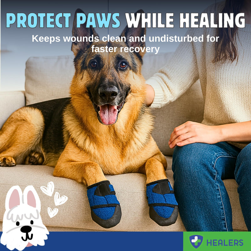 Healers PetCare Medical Dog Boots with Gauze Inserts – Protective Dog Booties for Injured Paws, Wound Care & Recovery - Breathable, Non-Slip, Adjustable Strap Closure (2-Booties) (Medium) - PawsPlanet Australia