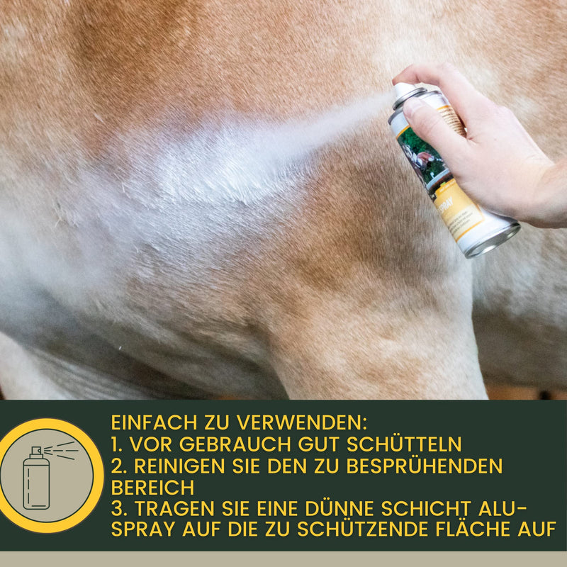 EMMA Wound Silver Spray for Dog Cat Horse 2 x 0.2 L Spray Plaster for Wound Protection - Silver Spray Wound Care for Eczema Mauke Itching - Wound Spray Dog & Cat - Protective Film for Irritated Skin
