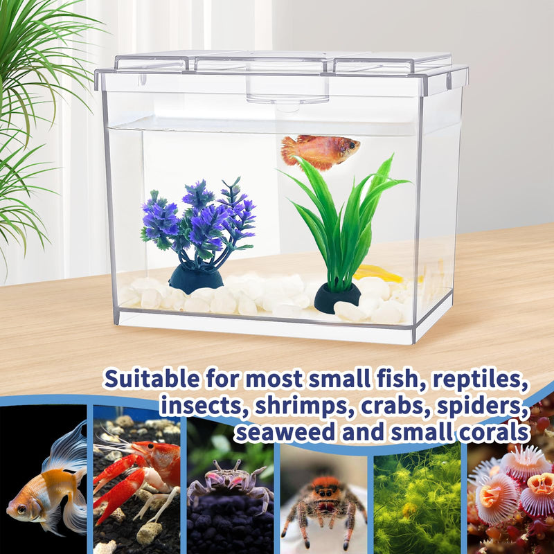 Mini Betta Fish Tank, Small Fish Bowl for Temporary Space, 0.2 Gallon Stackable Cube Tank with Artificial Plants and Gravels for Small Fish, Insect, Shrimp, Crab, Spider. (Pack-1) MiniTank 02 - PawsPlanet Australia