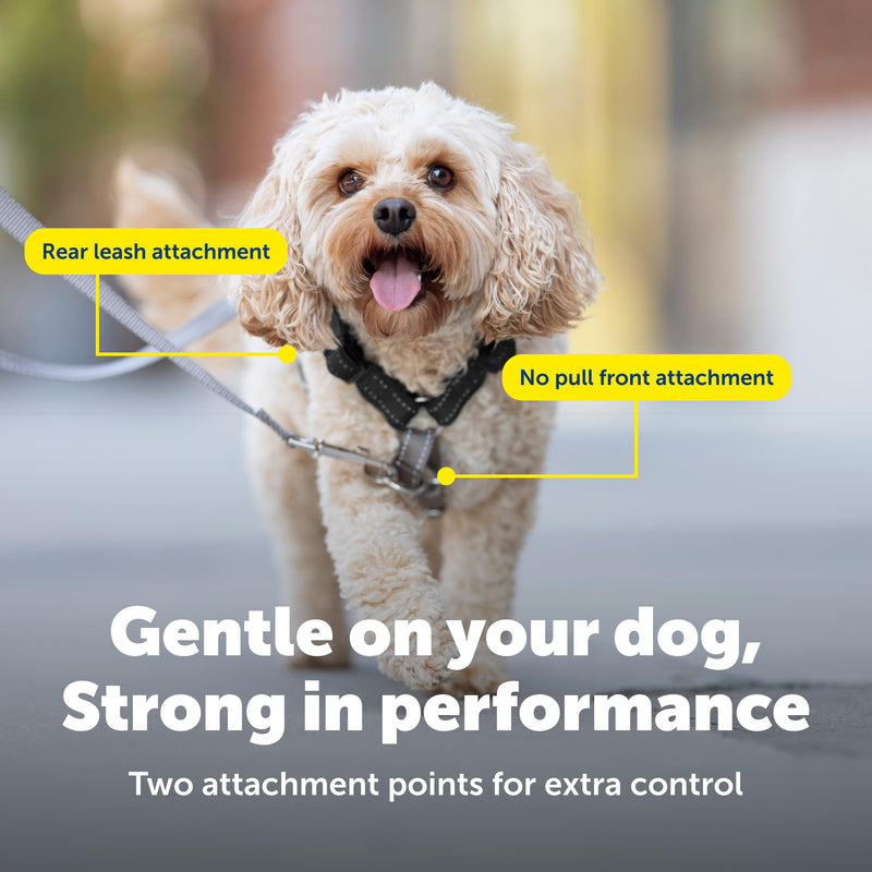 PetSafe 3-in-1 Harness with Two-Point Control Leash - Custom Fit Durable Obedience Gear for Gentle Behavior Training to Reduce Leash Pulling - Breathable Padded Design - Large - Black Large (Pack of 1) - PawsPlanet Australia