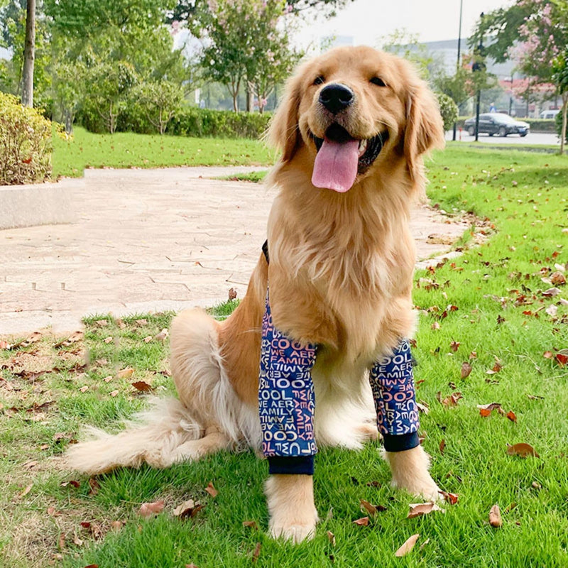 HDKUW Dog Elbow Protector, Dog Leg Recovery Sleeve for Prevent Licking Wound, Joint Sleeves with Mesh Pad for Medium Large Dogs Thickened Letters 2XL - PawsPlanet Australia