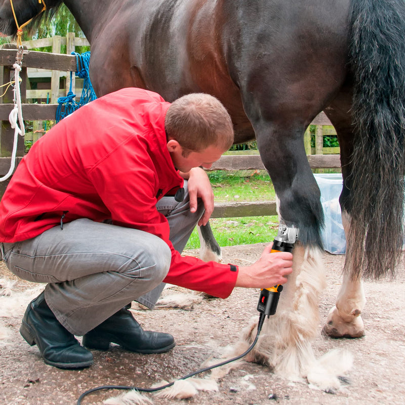 Horse Clippers,550W Professional Heavy Duty Horse Electric Grooming Kits,6-Speeds Electric Livestock Body Clippers for Horses Equine Goat Cattle - PawsPlanet Australia
