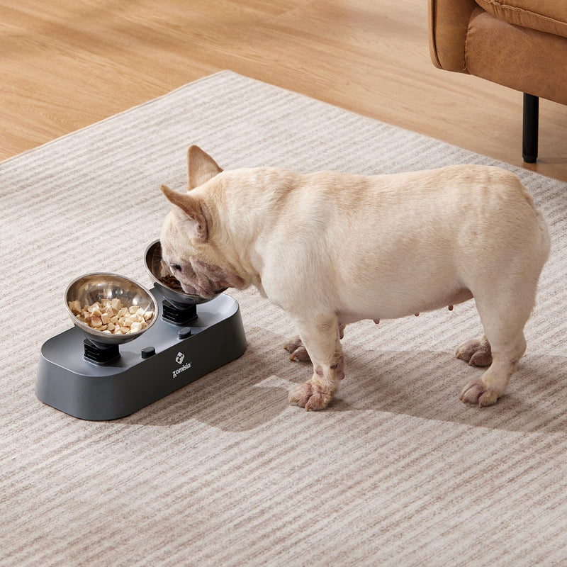 Raised Cat Food and Water Bowls with 3 Height for Indoor Cats, 15° Tilted in Both Ways Elevated Base Anti Vomiting Cat Dishes, Anti Spill for Puppies - PawsPlanet Australia