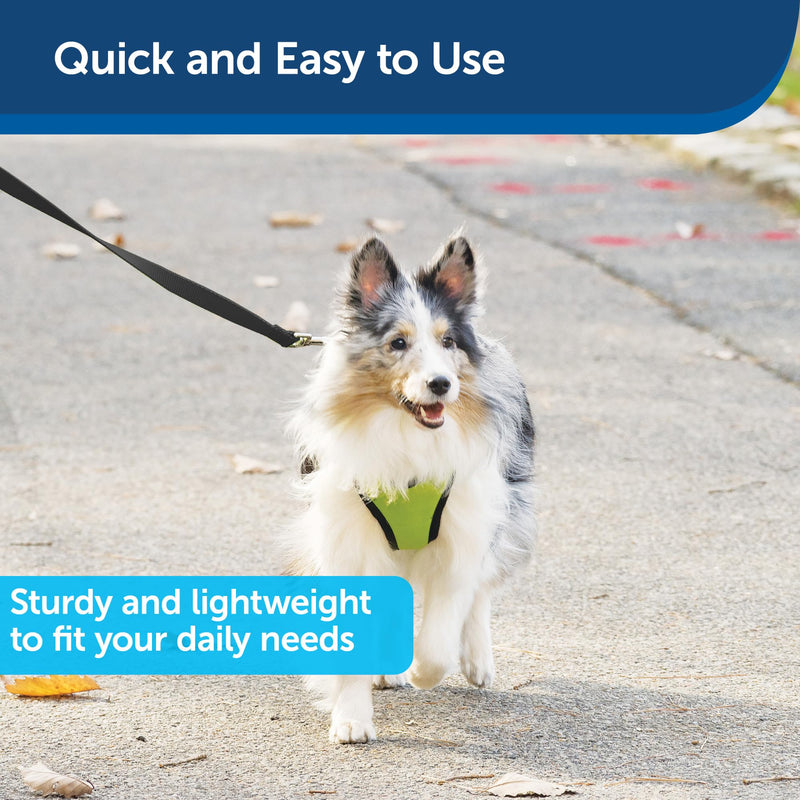 PetSafe Nylon Dog Leash – Strong, Durable, Traditional Style Leash with Easy to Use Bolt Snap for Small, Medium and Large Dogs – 1" x 6', Black - PawsPlanet Australia
