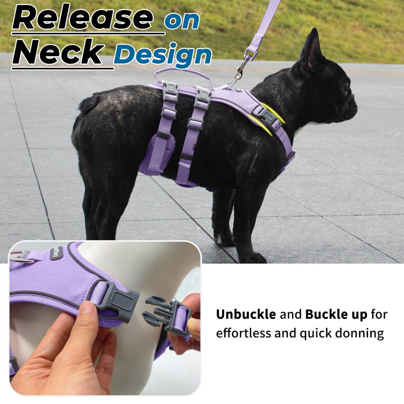 Escape Proof Dog Harness and Leash Set, Lightweight Dog Harness with Lift and Assist Handle, No Pull Reflective Pet Vest for Small Medium Dogs, Ideal for Puppy Walking and Training (Purple, M) Purple (Harness+Leash)