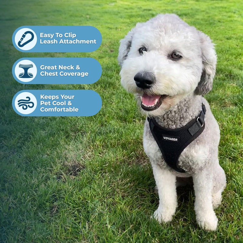 Voyager Step-in Lock Dog Harness w Reflective Dog Leash Combo Set with Neoprene Handle 5ft - Supports Small, Medium and Large Breed Puppies/Cats by Best Pet Supplies - Black, M - PawsPlanet Australia