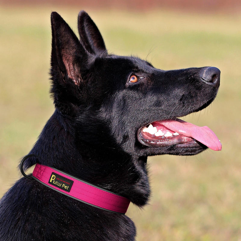Plutus Pet Tactical Dog Collar, Reflective, Adjustable Heavy Duty Dog Collar, Soft Padded and Comfortable, for Small Medium and Large Dogs (Hot Pink, M) Hot Pink