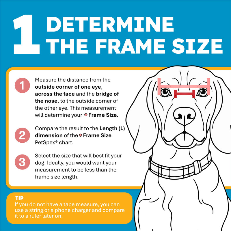PetSpex® Dog Sunglasses for Large Breeds, Pet Goggles with UV Protection, Windproof Water Resistant Pet Glasses with Adjustable Head and Chin Straps for Outdoor Adventures, Large, Black Black Frame - PawsPlanet Australia
