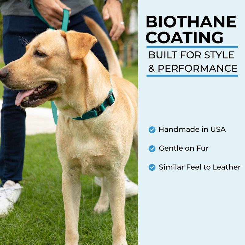 DogTraxs - Light Duty Dog Collar - Biothane Dog Collar - for Large Dogs - Waterproof & Odor Resistant - Quick Release Plastic Buckle Style - Made in USA - 1" W x 19-22" L – Teal Large - 1" W x 19-22" L