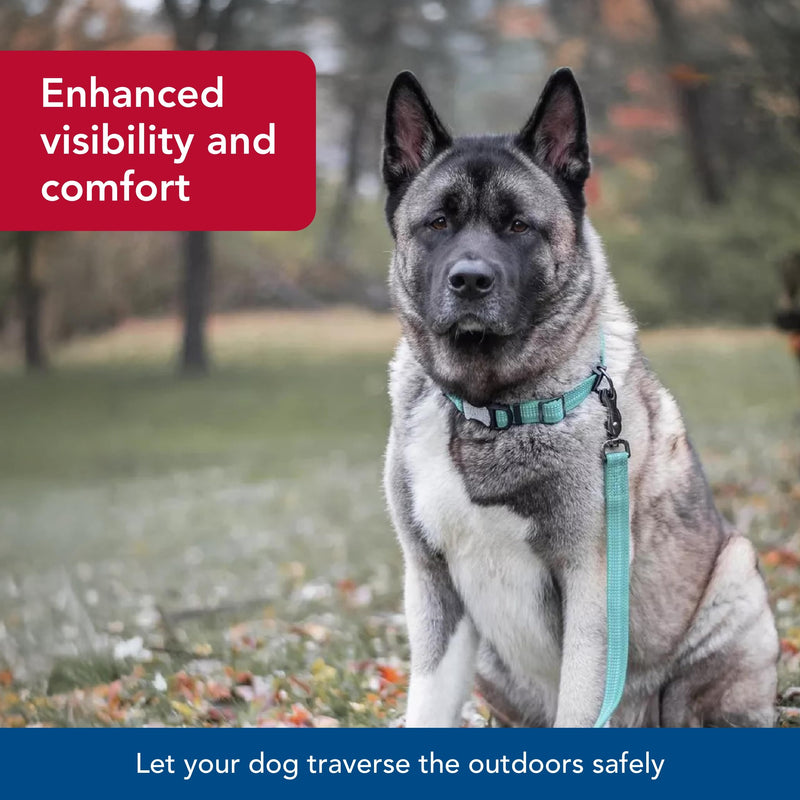 Coastal Pet - K-9 Explorer - Brights Reflective Adjustable Dog Collar, Lake, 5/8" x 10"-14" 5/8" x 10"-14" (Pack of 1) - PawsPlanet Australia