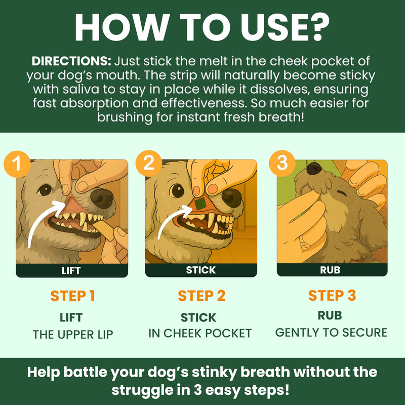 Dog Breath Freshener 5 in 1 – 30 Oral Strips – Natural Sage, Spirulina, Apple Cider Vinegar – Dogs Dental Care Products, Fresh Breath & Oral Hygiene Support – No Chew Dog Breath Mints 30 Strips - PawsPlanet Australia