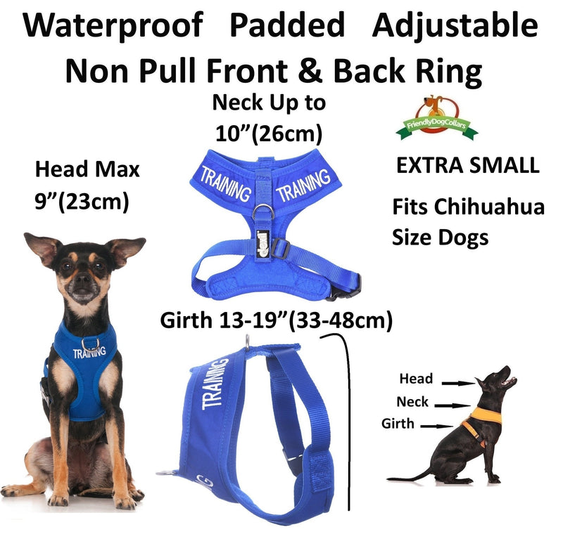 Training (Dog in Training/Do Not Disturb) Blue Color Coded Non-Pull Front and Back D Ring Padded and Waterproof Vest Dog Harness Prevents Accidents by Warning Others of Your Dog in Advance (XS) - PawsPlanet Australia