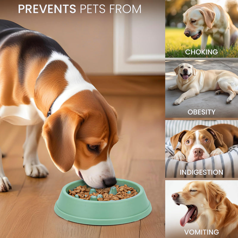 Belle Vous Slow Feeder Dog Food Bowls (2 Pack) - 350ml Dog Slow Feeder Bowls for Small-Large Dogs - Puppy & Dog Feeding Bowl Set To Slow Down Eating - PawsPlanet Australia