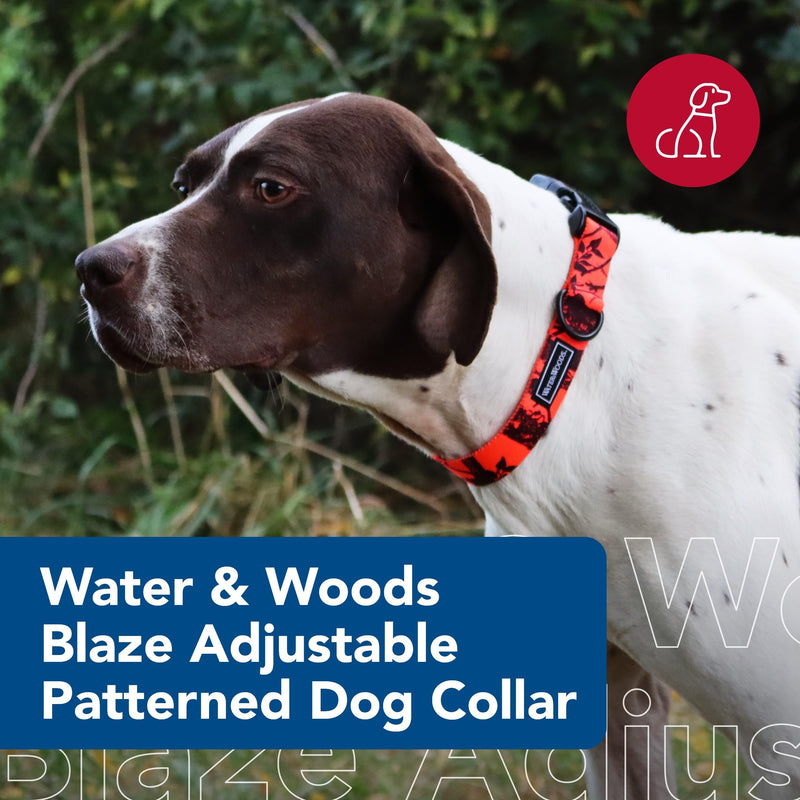 Coastal Pet - Water & Woods Blaze Adjustable Patterned Dog Collar by Coastal Pet - Durable Snap-Lock Buckle - Highly Visible with Forest Silhouette Pattern - Orange Tree, Medium - 1" x 14"-20" Medium - 1" x 14"-20" (Pack of 1)