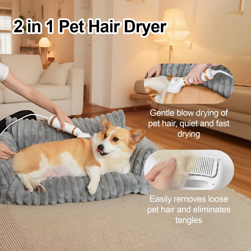 2-in-1 Dog Blow Dryer with Grooming Brush, 3-Speed Adjustable Pet Hair Dryer for Home/Salon, Low Noise High Velocity Blow Dryer for Dog, 300 Watts, Overheat Protection, Portable Rose Gold - PawsPlanet Australia