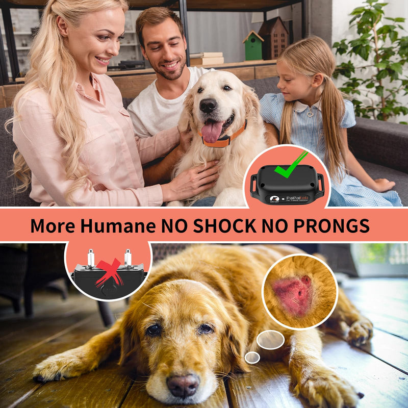 PaiPaitek Vibrating Dog Collar No Shock, 3300ft Waterproof Vibration Collar for 2 Dogs, No Shock Dog Training Collar with Remote for 5-120 lbs All Breeds, Safe and Humane PD523V-2 Orange - PawsPlanet Australia