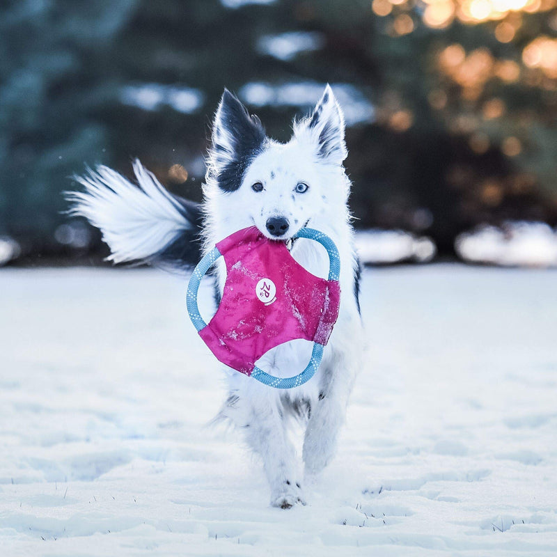 ZippyPaws - Rope Gliderz Durable Outdoor Dog Toy Flying Disc - Magenta