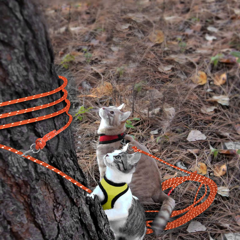 Rypet Reflective Cat Long Leash - 15 FT Escape Proof Walking Leads Yard Long Leash Durable Safe Personalized Extender Leashes Traning Play Outdoor for Kitten, Puppy, Rabbit and Small Animals Orange - PawsPlanet Australia