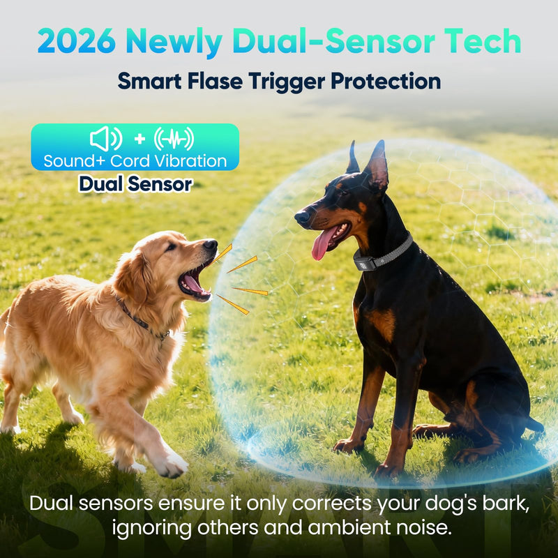 Dog Bark Collar for Large Medium Small Dogs, Effective No-Bark Collar, Smart Barking Collar, Rechargeable Bark Collar with 7 Sensitivity, 3 Modes, IP67 Waterproof, Black, 2 Pack - PawsPlanet Australia