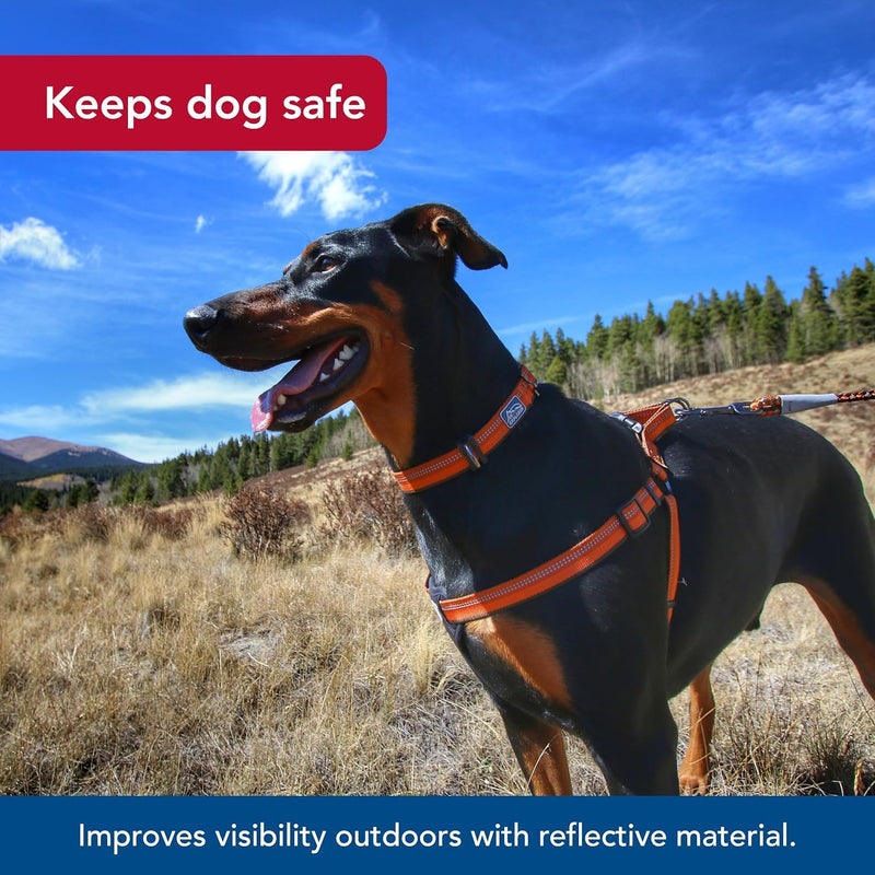 Coastal Pet K9 Explorer Reflective Adjustable Padded Dog Harness - Plush Chest Pad for Comfort - No-Pull Dog Harness for Small and Large Dogs - Fern - 1" x 26"-38", Large - PawsPlanet Australia