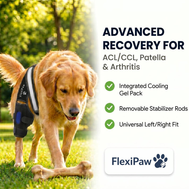 Dog Knee Brace – Rear Leg Support with Freezable Gel Pack, Removable Stabilizer Rods, Reflective Straps, for ACL/CCL Injury, Arthritis & Post-Surgery Recovery (Large)