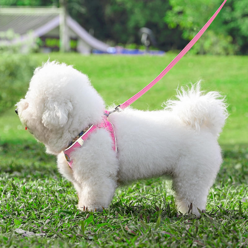 Adjustable Dog Harness Collar and Leash Set Step in No Pull Pet Harness for Small Medium Dogs Puppy and Cats Outdoor Walking Running, Soft Mesh Padded Reflective Vest Harnesses（Pink,XXS） (XXS,8.5‘’-9.5‘’Neck Girth,10"-11.5"Chest Girth) Pink - PawsPlanet Australia