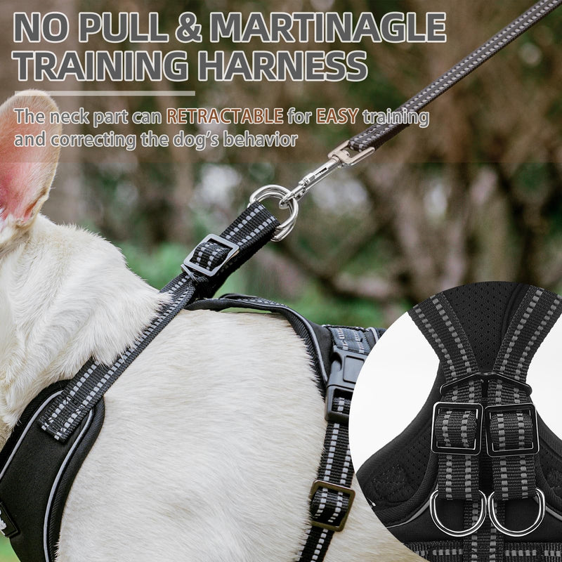 PUPTECK Dog Harness and Leash Set for Small Medium Sized Dogs, No Pull Training Dog Vest Harness, Adjustable Reflective Dog Soft Padded Vest, Black, M - PawsPlanet Australia